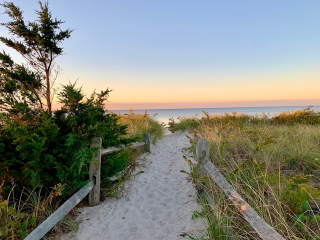 Beach at Cape Cod
